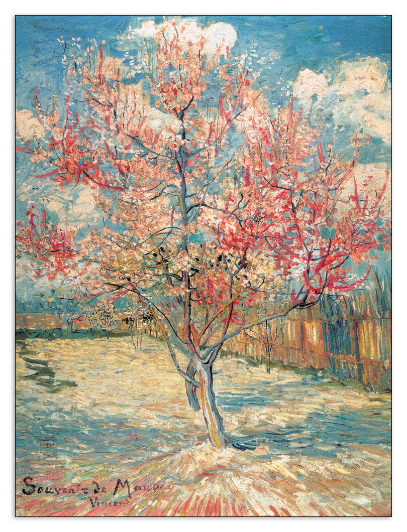 Souvenir De Mauve cm 60x80
