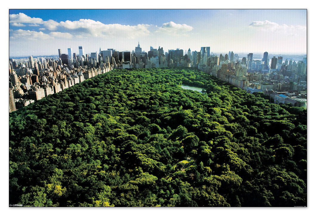 New York, Central Park cm 90x60
