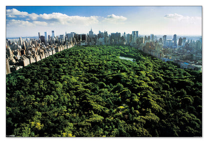 New York, Central Park cm 90x60