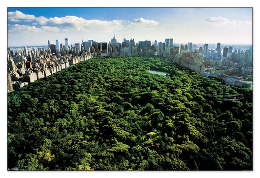 New York, Central Park cm 90x60