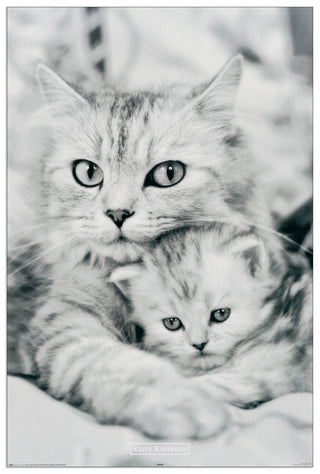 Homage to Kimberlin - Gatto e gattino - cm 60x90 - Pannello in MDF