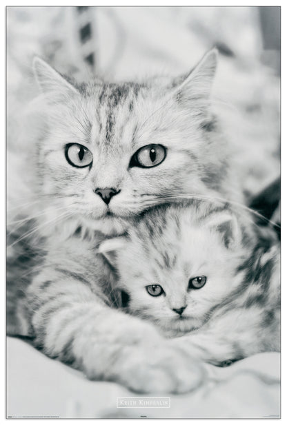 Cat and kitten cm 60x90