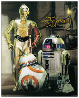 Star Wars episodio VII Droidi - cm 40x50 - Pannello in MDF