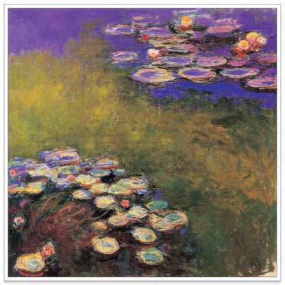 Water Lilias cm 30x30