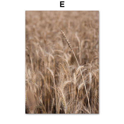 Stampa Paesaggio Naturale