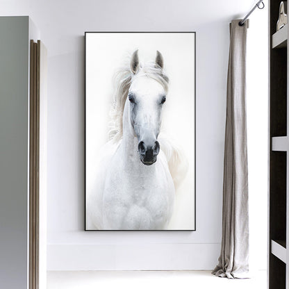 Stampa Cavallo Bianco