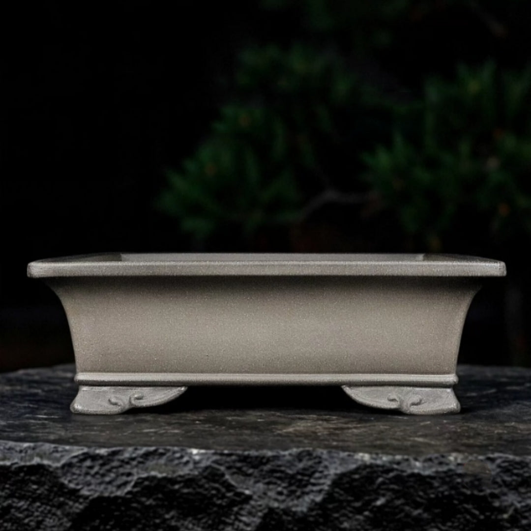 Vaso Bonsai Rettangolare
