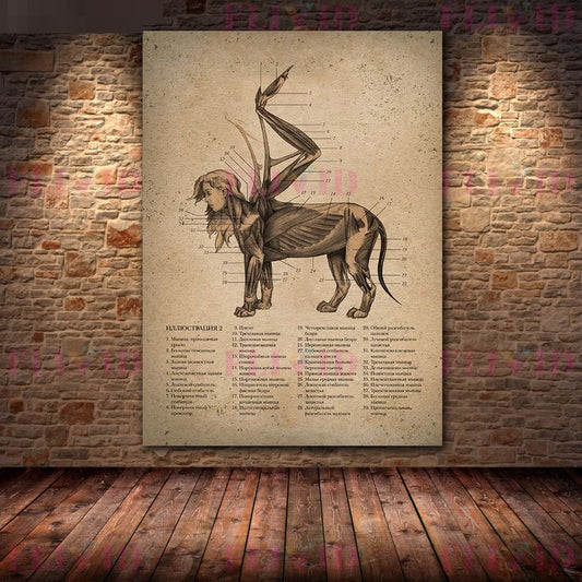 Quadro su tela Anatomia di cane