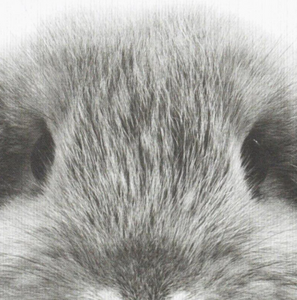 Quadro digitale