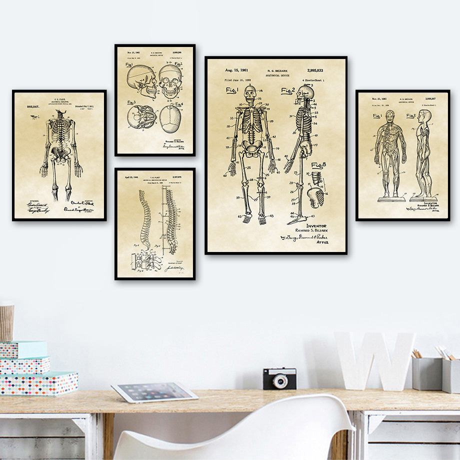 Tela Anatomia Vintage