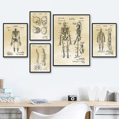 Tela Anatomia Vintage