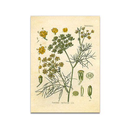 Stampa Botanica Retrò