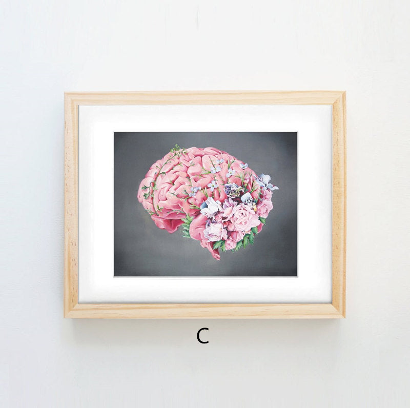 Quadro anatomico