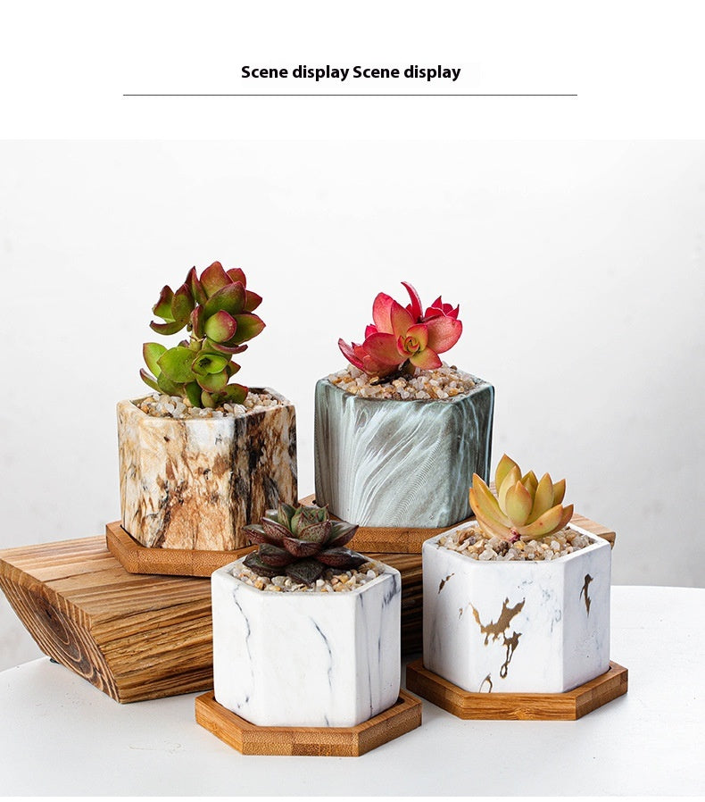 Vaso piante grasse ceramica