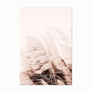 Quadro nordico