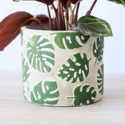 Vaso cemento foglie monstera