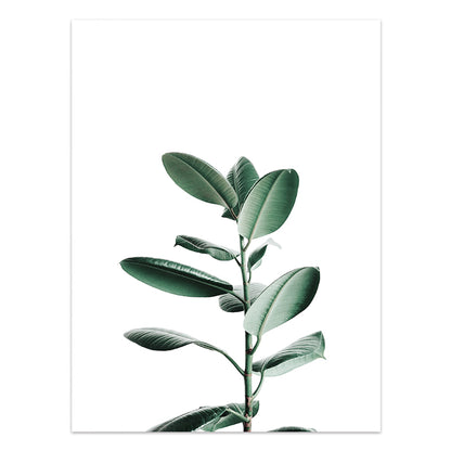 Quadro Piante tropicali