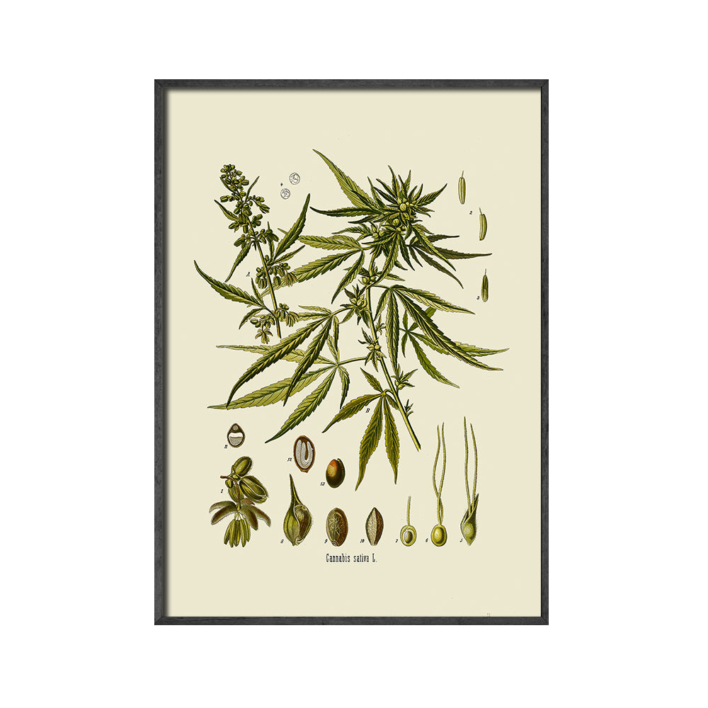 Quadro su tela
