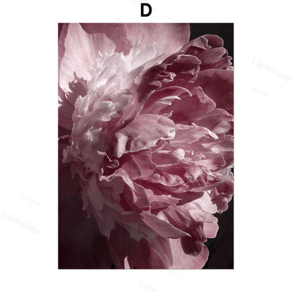 Quadro peonie