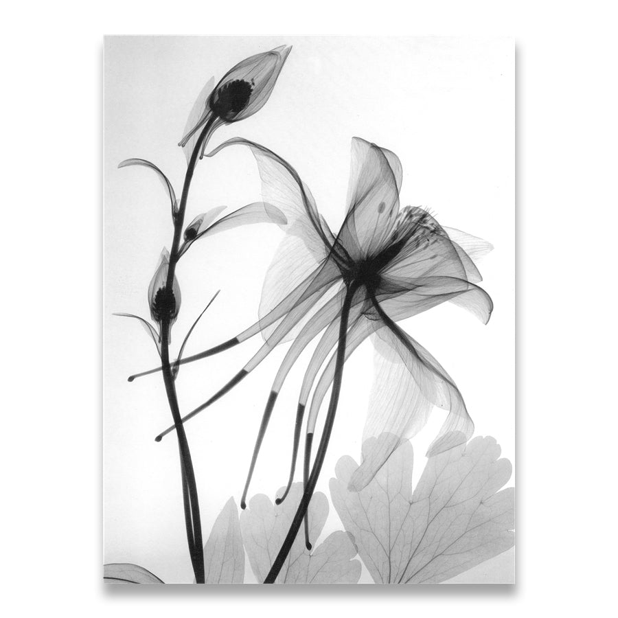 Quadro moderno salotto
