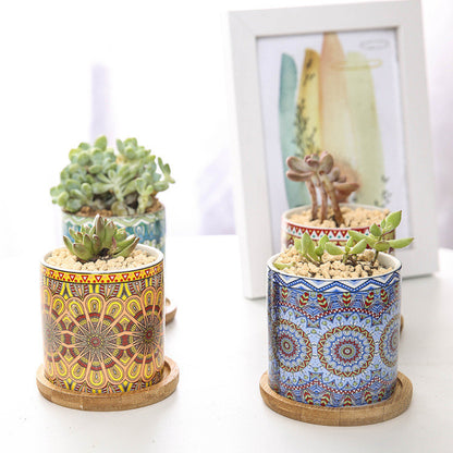 Vaso piante grasse mandala