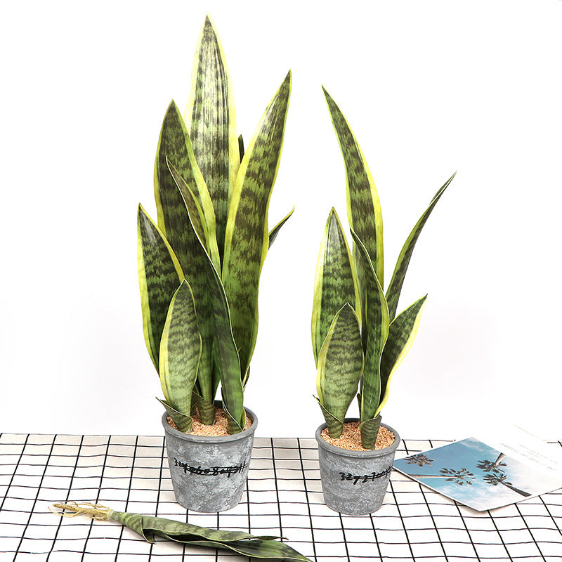 Succulente artificiali