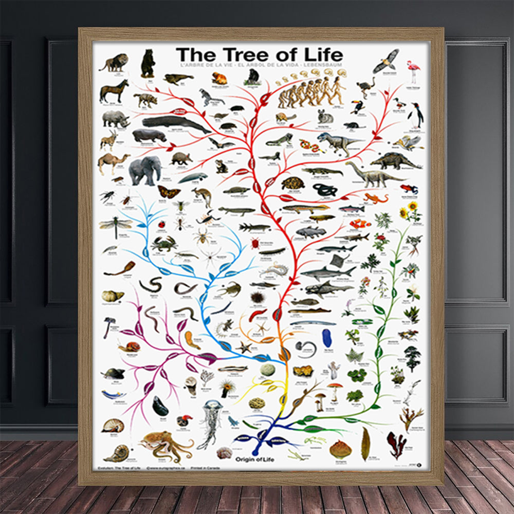 Poster albero della vita
