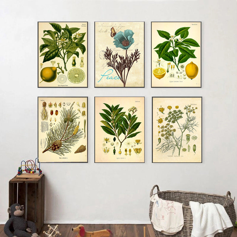 Stampa Botanica Retrò