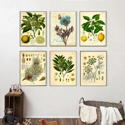 Stampa Botanica Retrò