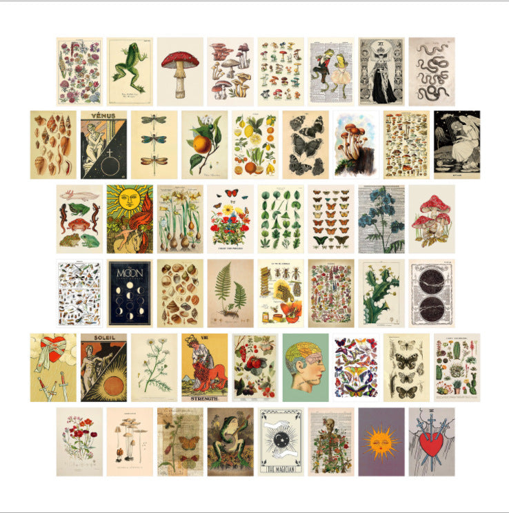 Collezione 50 poster