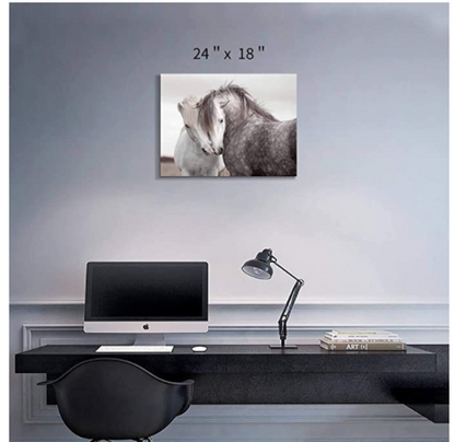 Quadro cavallo camera