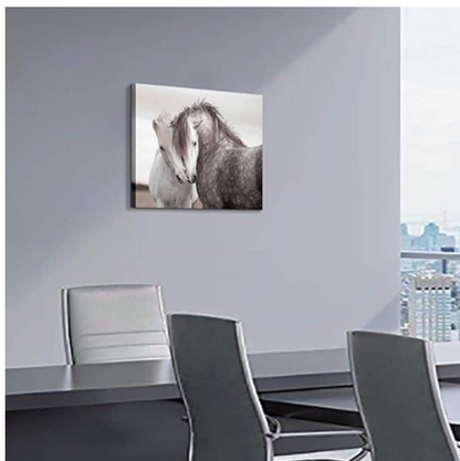 Quadro cavallo camera