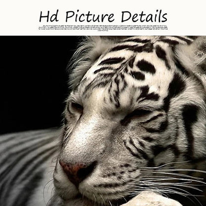Quadro tela tigre bianco nero