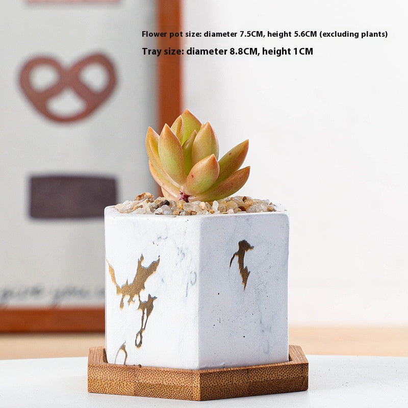 Vaso piante grasse ceramica