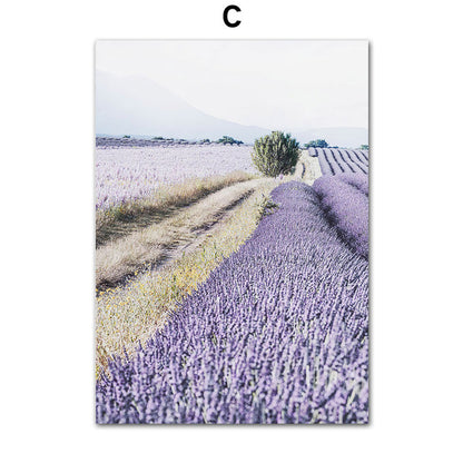 Poster lavanda e bicicletta