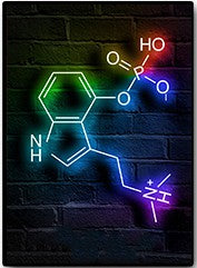 Quadro arte spray