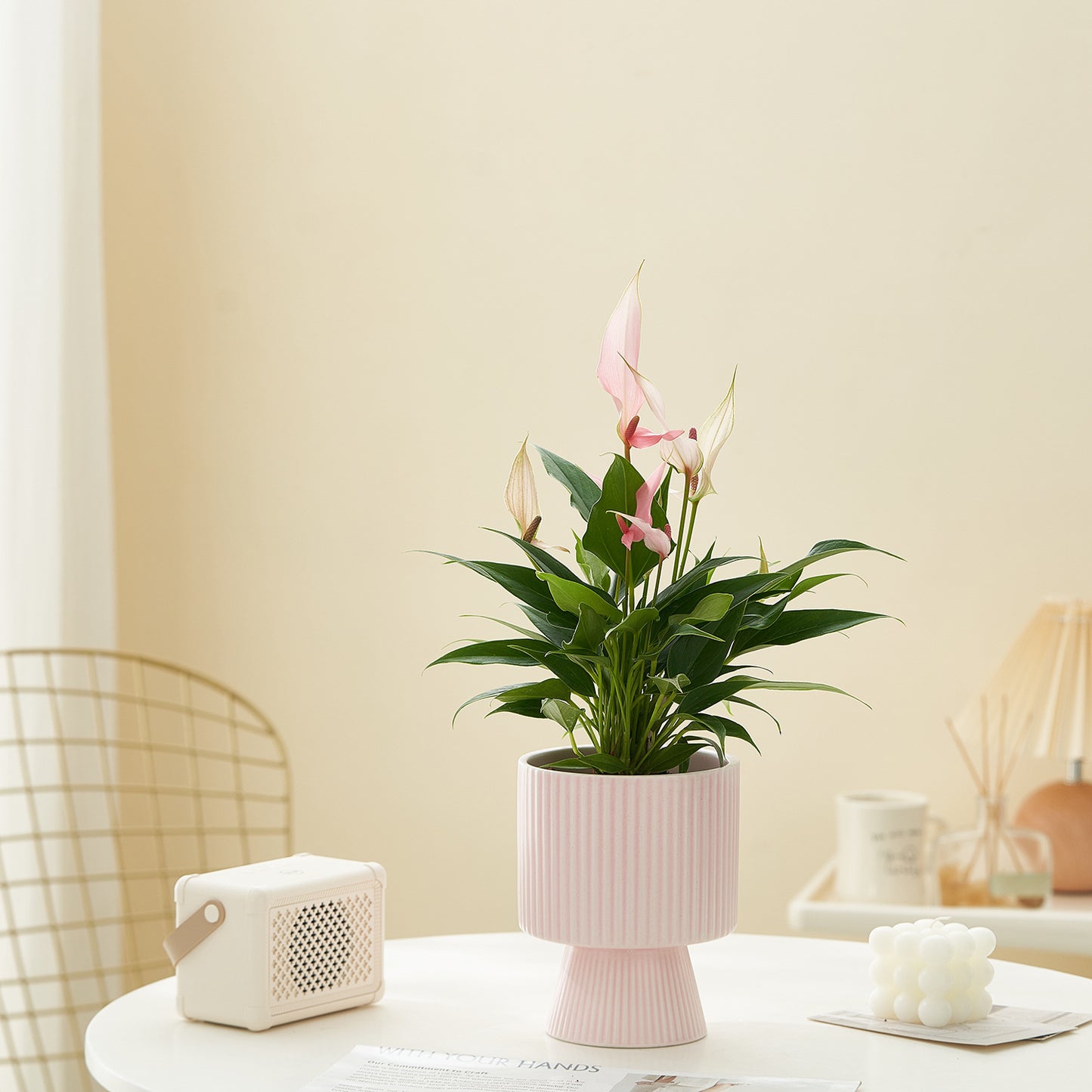 Vaso ceramica righe