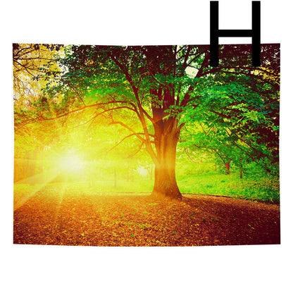 Tappezzeria Foresta Boema