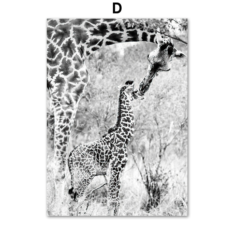 Quadro Animali Selvatici