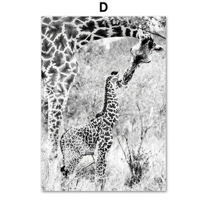 Quadro Animali Selvatici