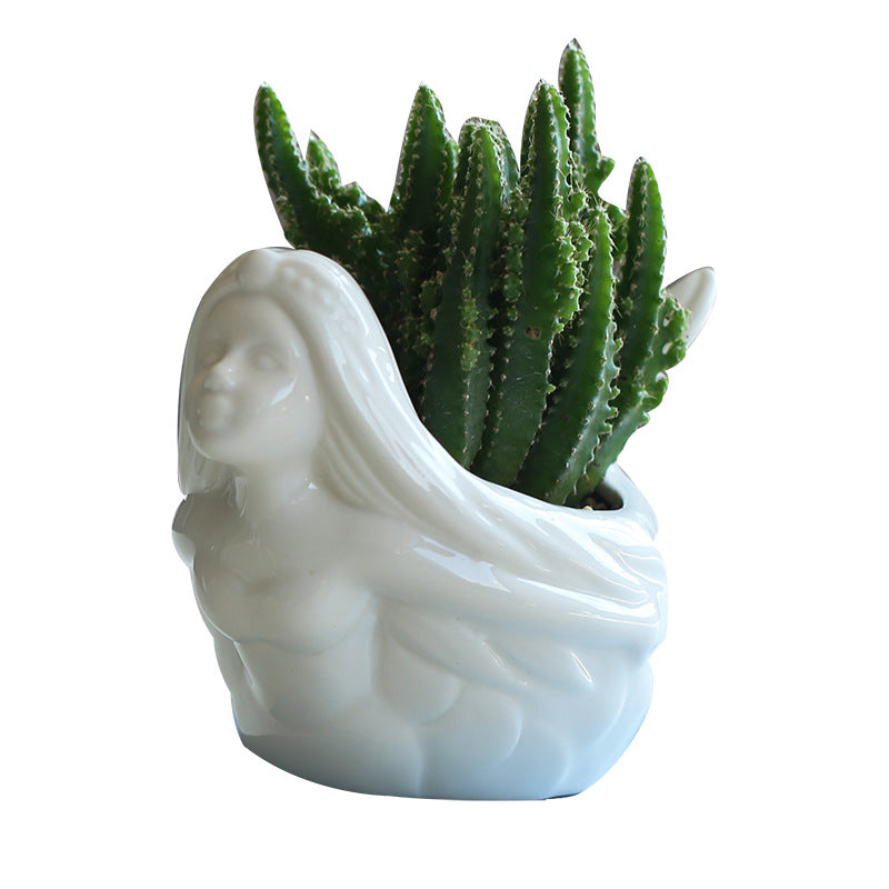 Vaso per succulente