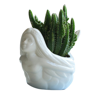 Vaso per succulente