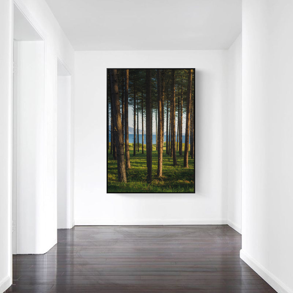Tela Paesaggio Foresta