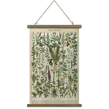 Quadro botanico vintage