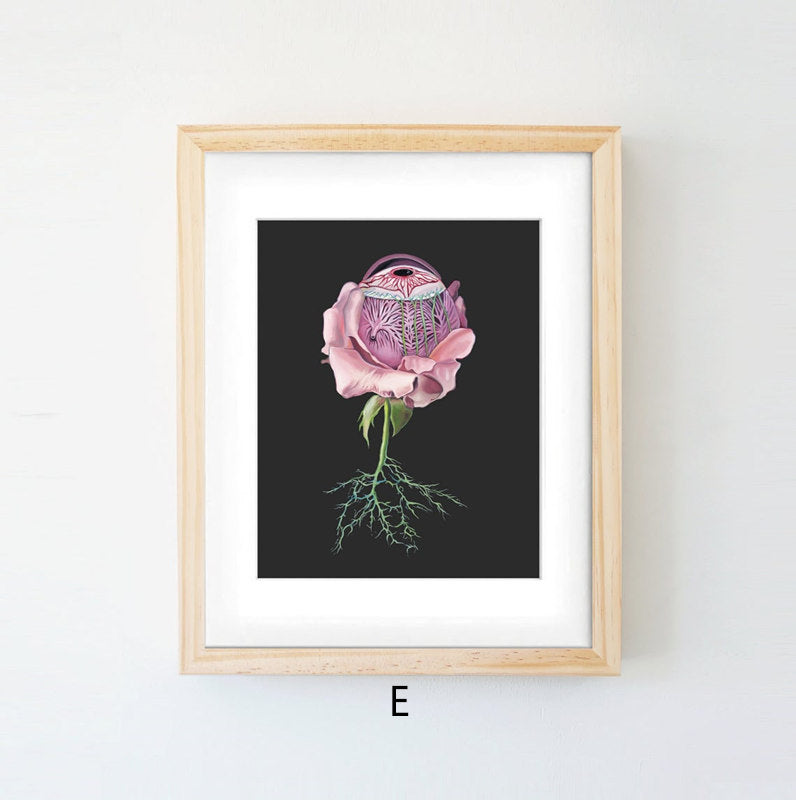 Quadro anatomico
