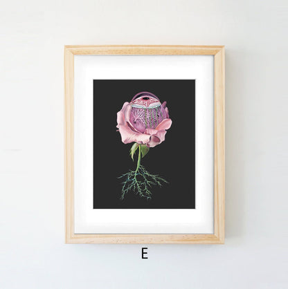 Quadro anatomico