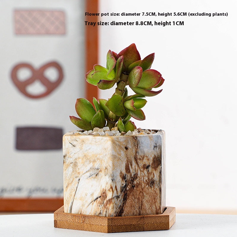 Vaso piante grasse ceramica