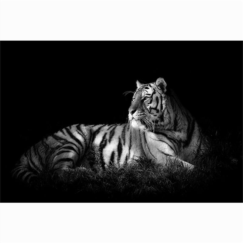 Quadro Testa di Tigre