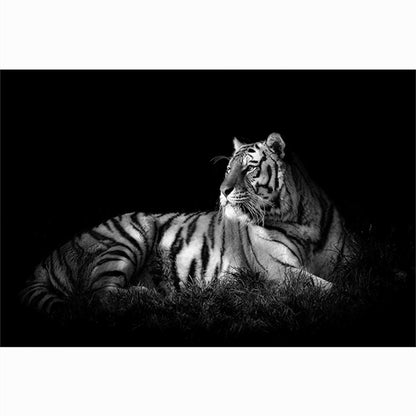 Quadro Testa di Tigre