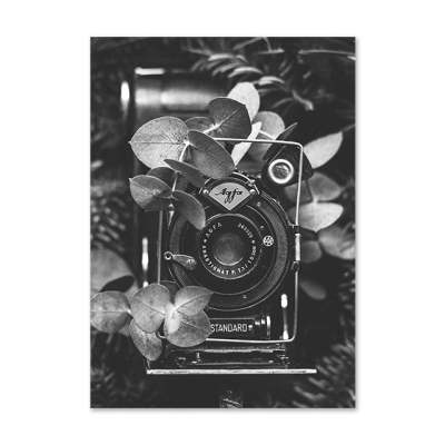 Quadro astratte linee